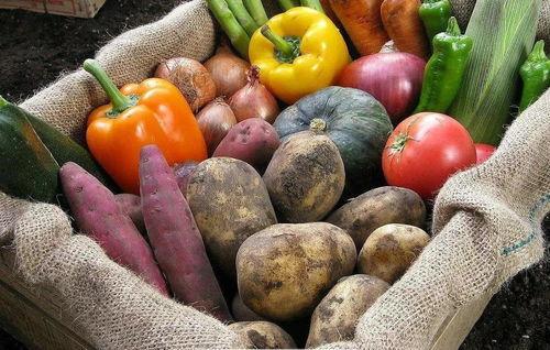 吃瓜协会小夏,揭秘娱乐圈幕后故事