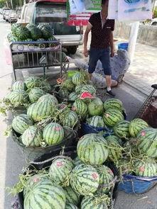 丽水西城吃瓜事件,一场引发热议的街头冲突纪实