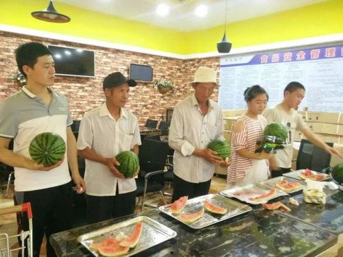 吃瓜精彩回顾,精彩回顾，笑料连连