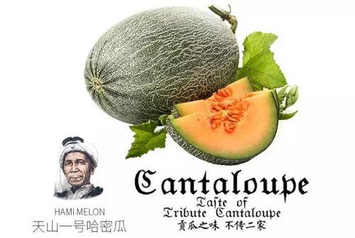 48号吃瓜,揭秘娱乐圈背后的那些事儿