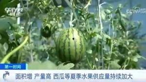 弋阳吃瓜群众案件,揭秘网络谣言背后的真相