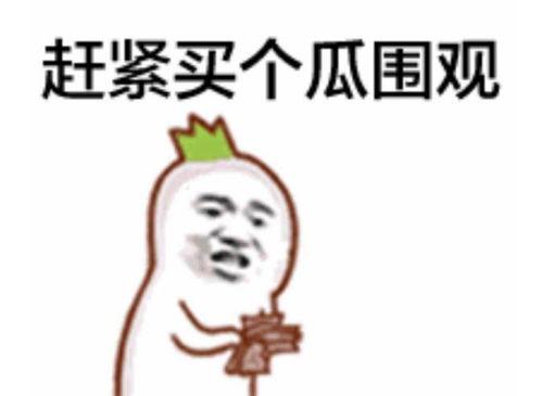 吃瓜群众师太12315,网络红人的崛起之路