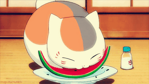 猫猫勺子吃瓜gif,萌态十足引网友爆笑