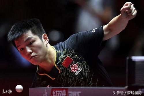 小胖龙队吃瓜,揭秘娱乐圈幕后故事