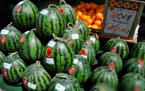 买西瓜吃瓜,买西瓜，尽享甜蜜时光