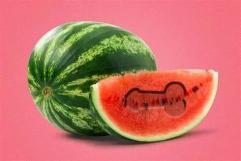 大伟哥吃瓜,揭秘娱乐圈幕后故事