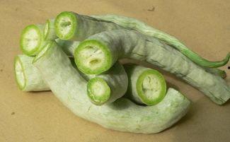 舌瓜怎么吃,舌瓜的独特食用方法揭秘