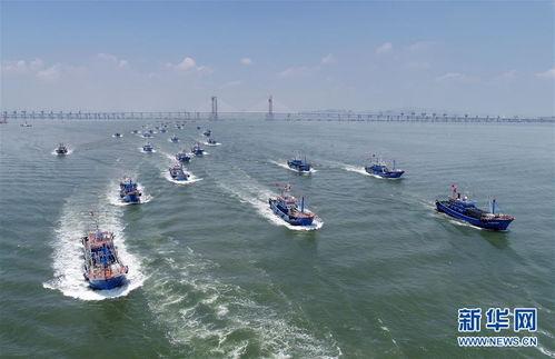 福建渔船出海台湾吃瓜,意外成为吃瓜群众焦点