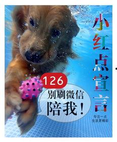 瓜来不及吃,美味却来不及品尝的遗憾时光