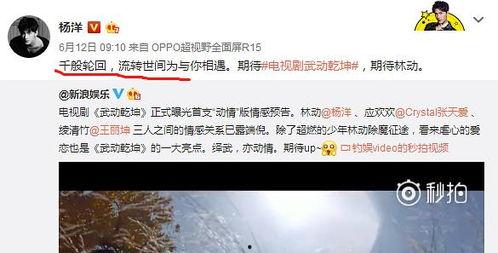 会长吃瓜张天爱,张天爱瓜田漫步，揭秘娱乐圈幕后故事