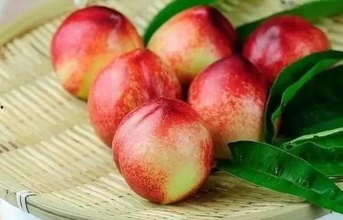 吃瓜文案桃桃,揭秘娱乐圈那些事儿