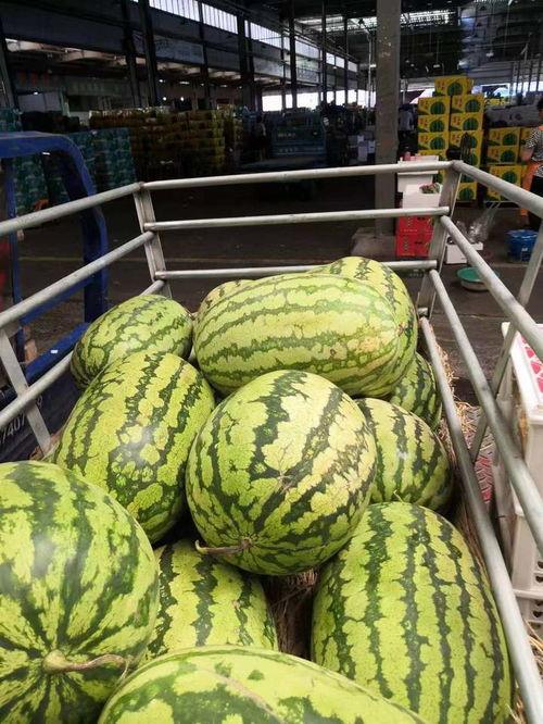 任县金环市场吃瓜,瓜果飘香，热闹非凡的市井生活画卷