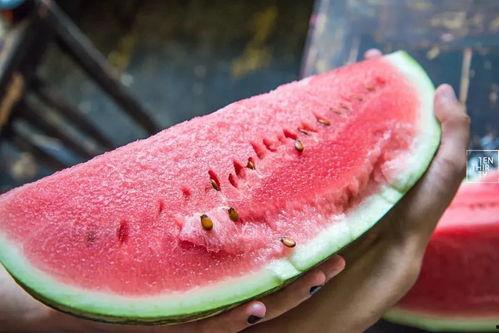 日常吃瓜小石头图片,揭秘日常吃瓜小石头的魅力