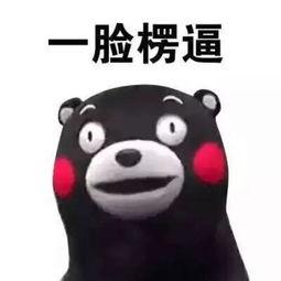 懵懵吃瓜,揭秘娱乐圈那些不为人知的幕后故事